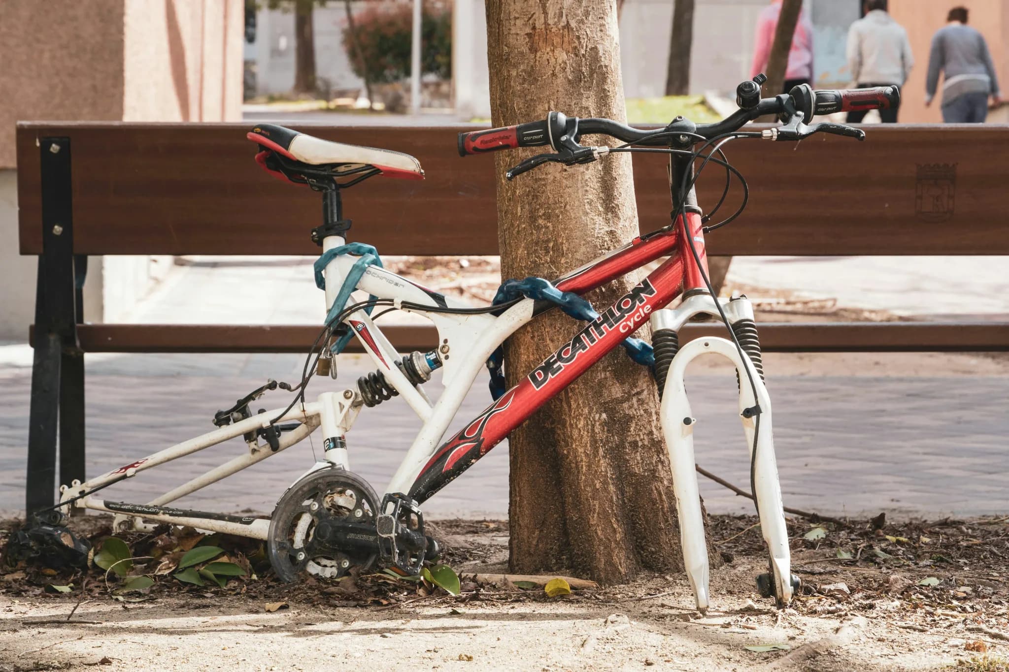 Vandalised red Decathlon bicycle missing its front wheel, locked to a tree beside a bench.